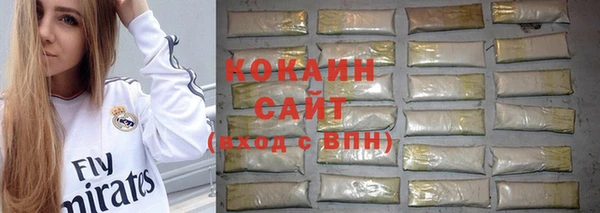 2c-b Ельня