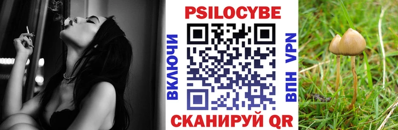 Псилоцибиновые грибы GOLDEN TEACHER  Дубовка 