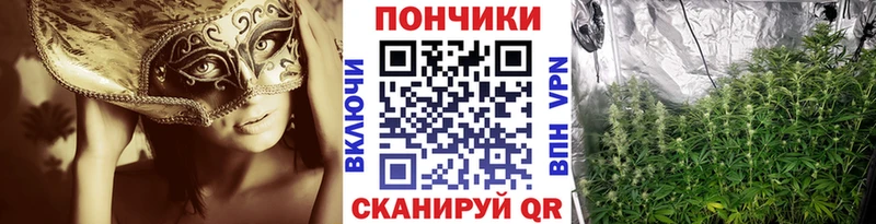 закладка  Дубовка  Конопля THC 21% 